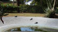 Botanischer  Garten