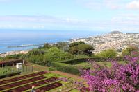 Botanischer Garten - Funchal