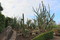 Botanischer Garten - Funchal