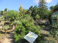 Botanischer Garten Funchal