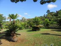Botanischer Garten Funchal