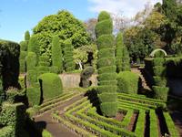 Botanischer Garten in Funchal