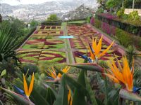 Botanischer Garten in Funchal