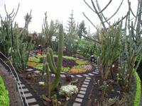 Botanischer Garten in Funchal