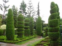 Botanischer Garten in Funchal