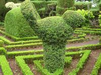 Botanischer Garten in Funchal
