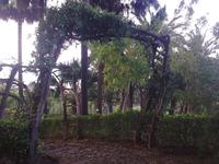 Botanischer Garten von Funchal