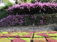 Botanischer Garten von Funchal