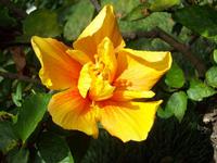 Botanischer Garten