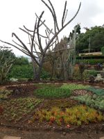 Botanischer Garten