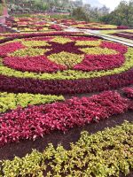 Botanischer Garten