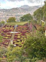 Botanischer Garten