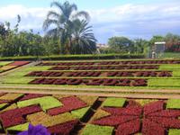 Botanischer Garten