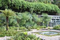 Botanischer Garten_30