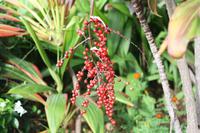 Botanischer Garten_32