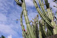 Botanischer Garten_54