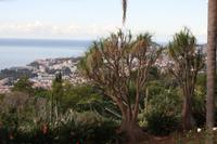 Botanischer Garten_6