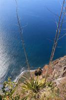 Cabo Girao