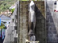 Camara de Lobos - 