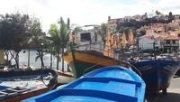 Camara de Lobos - Hafen (getrocknete Katzenhaie)