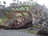Camara de Lobos 