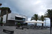 Camara de Lobos
