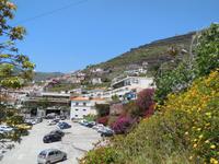 Camara de Lobos
