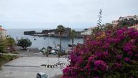 Camara de Lobos