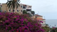 Camara de Lobos
