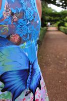 Ein Schmetterling auf dem Schmetterlings-Kleid