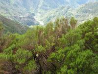 Encumeada Pass