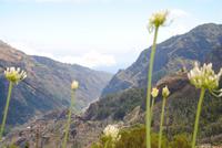 Encumeda - Herz von Madeira Blick in Richtung Norden