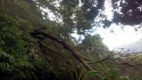 Entlang der Levada von Marocos