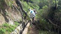 Entlang der Levada von Marocos