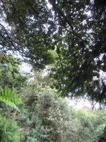 Entlang der Levada
