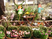 Funchal , 