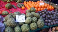 Funchal - Besuch der Markthalle