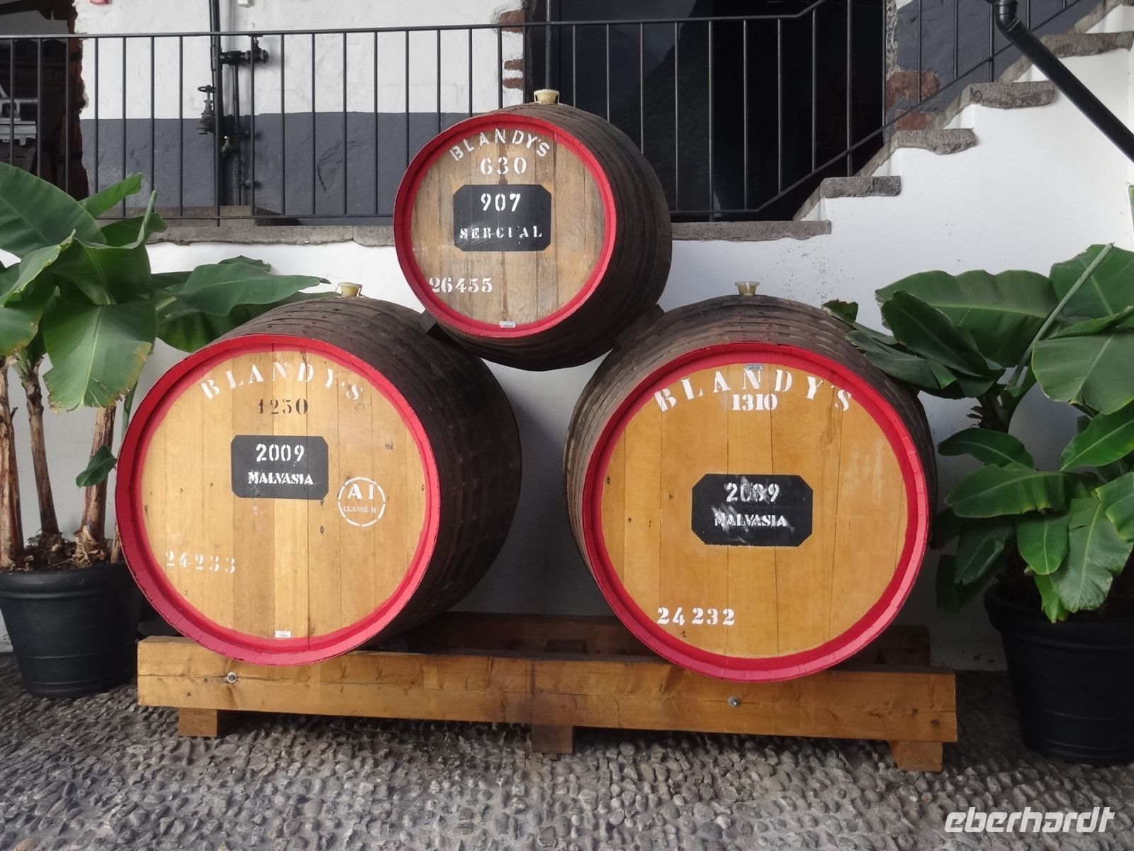 Funchal - Blandy's