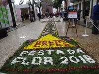 Funchal - Blumenteppiche anlässlich des Blumenfestes