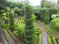 Funchal - Botanischer Garten
