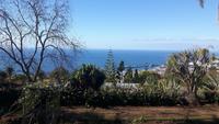 Funchal - Botanischer Garten