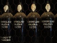Funchal - Weinkeller 