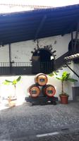 Funchal - Weinverkostung in 