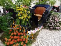Funchal am Vortag des Festumzuges