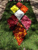 Funchal und sein Blumenteppiche