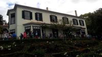 Funchal,Botanischer Garten