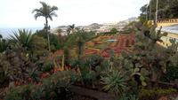 Funchal,Botanischer Garten