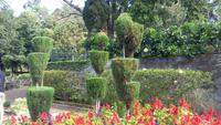 Funchal,Botanischer Garten