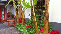 Funchal: Blandy’s Weinkeller
