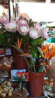 Funchal: Markthalle